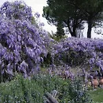 Molino In Chianti Villa