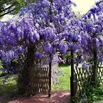 Molino In Chianti Villa *