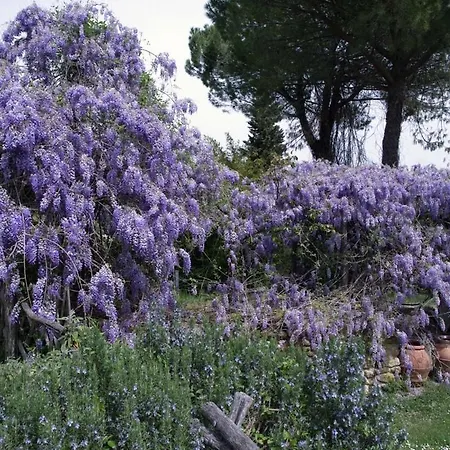 Molino In Chianti Вилла