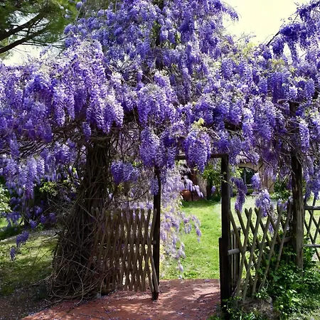 Molino In Chianti Villa *