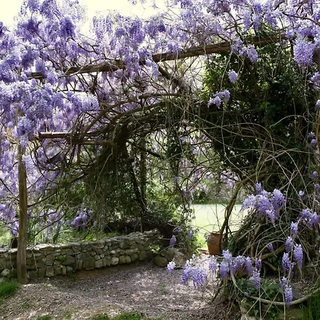 Molino In Chianti Villa